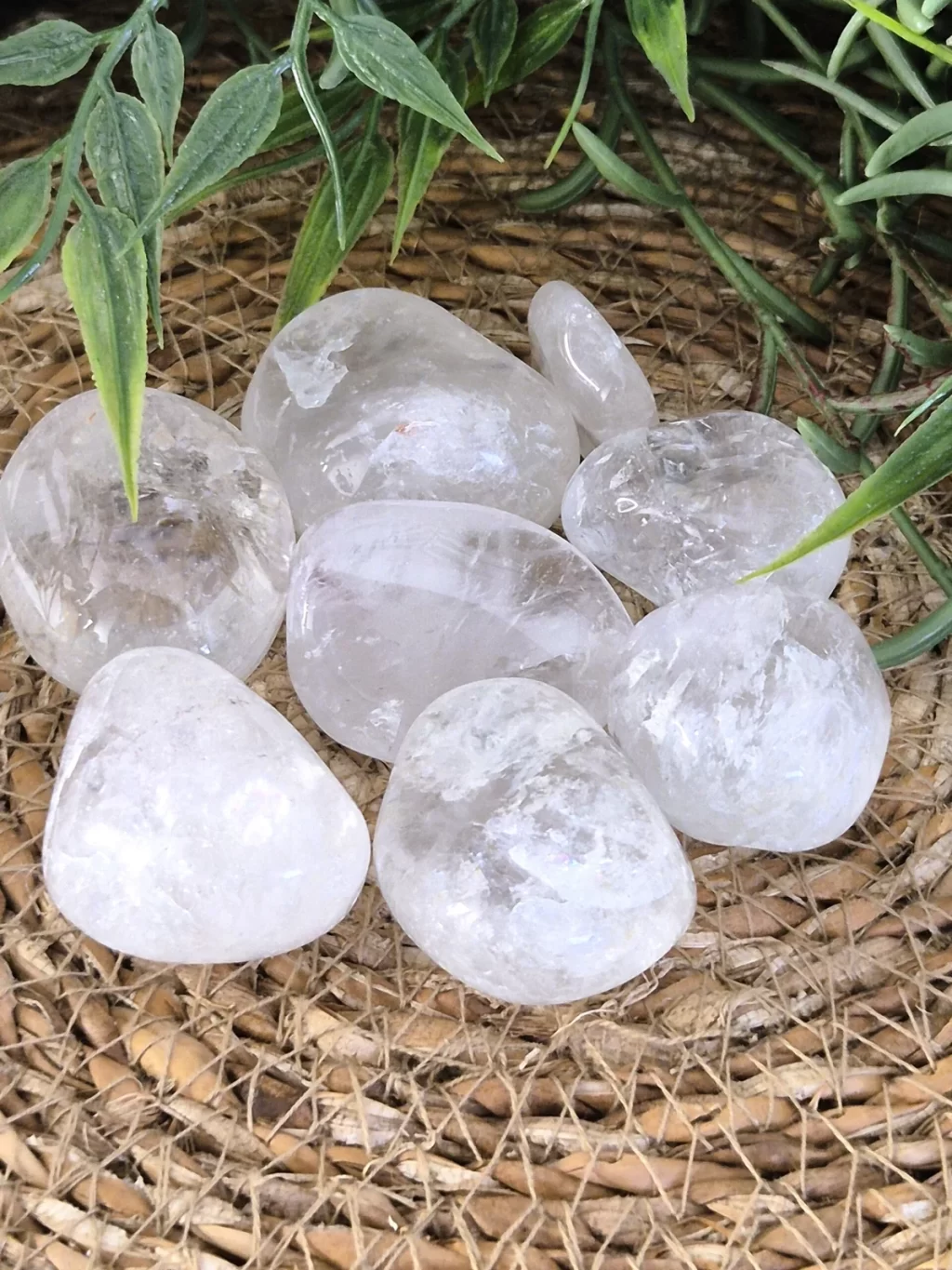 Bergkristal – Helderheid, Zuivering & Energie (2–3 cm)